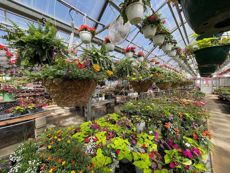 Windy Acres Farm Stand, Geneva