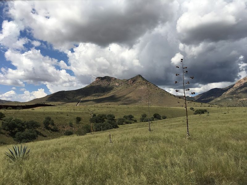 The Science Of Sky Islands: Why This Place Is Biologically Remarkable