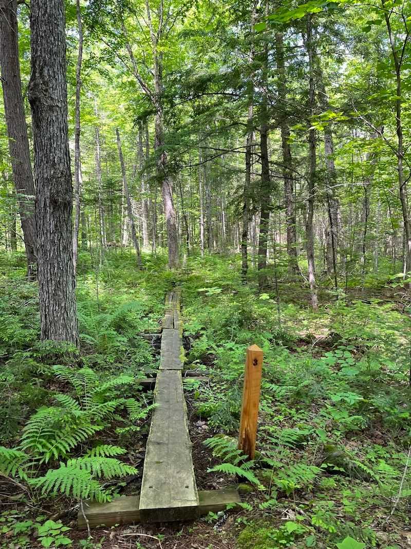 Hiking And Biking Trail Network