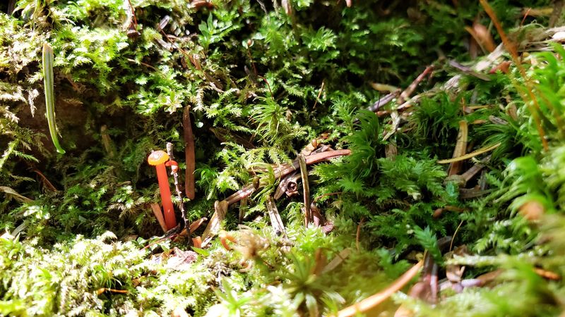Rock Forms And Subtle Geology