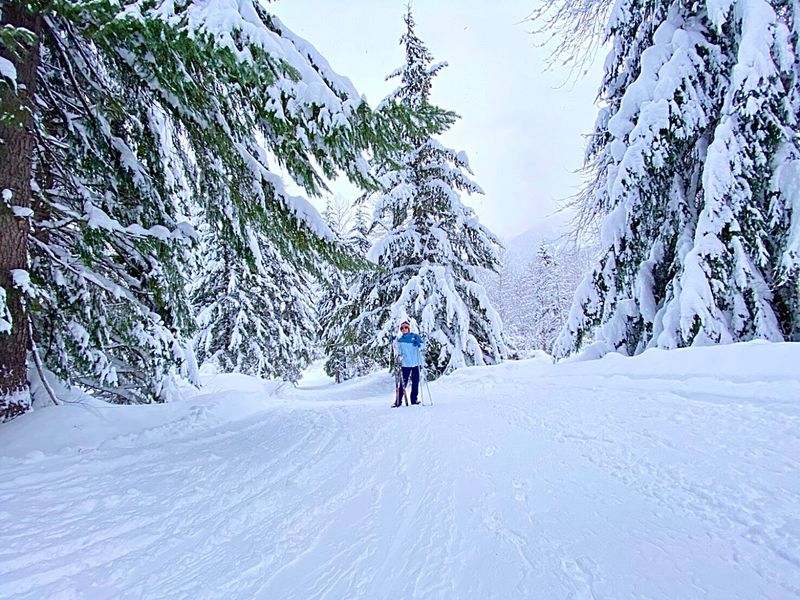 Winter At Snoqualmie Pass: Snow Sports Just Up The Road Winter At Snoqualmie Pass: Snow Sports Just Up The Road