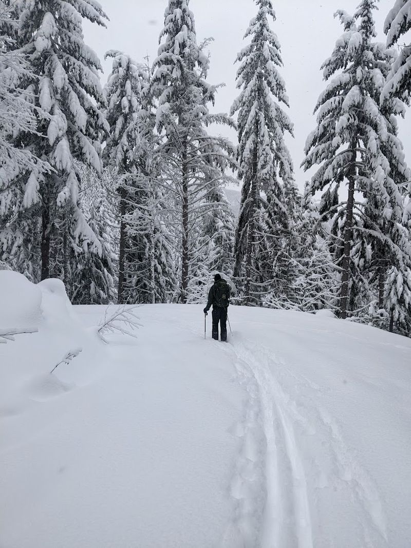 Winter At Sun Top: A Completely Different Adventure