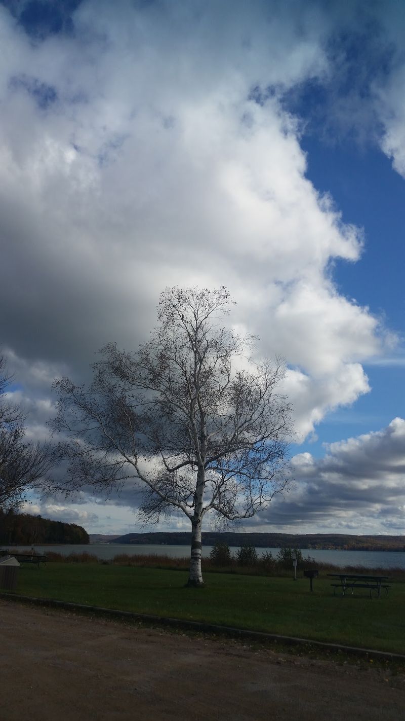 Winter Deserves Its Own Trial Visit Winter Deserves Its Own Trial Visit