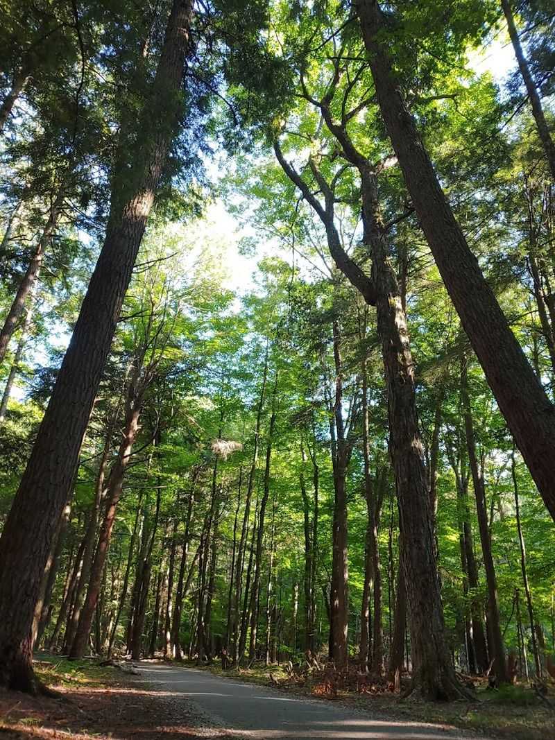 Watch For Wildlife, But Let The Park Set The Pace