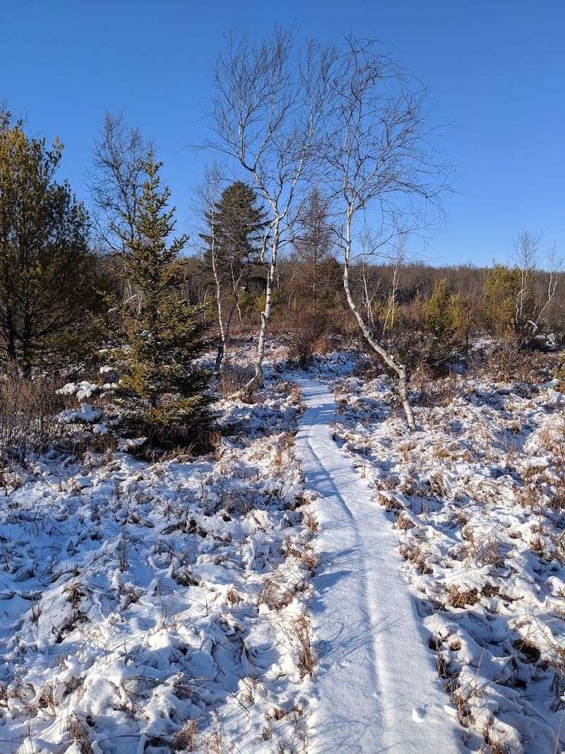 Winter Hiking Here Has Its Own Quiet Appeal Winter Hiking Here Has Its Own Quiet Appeal