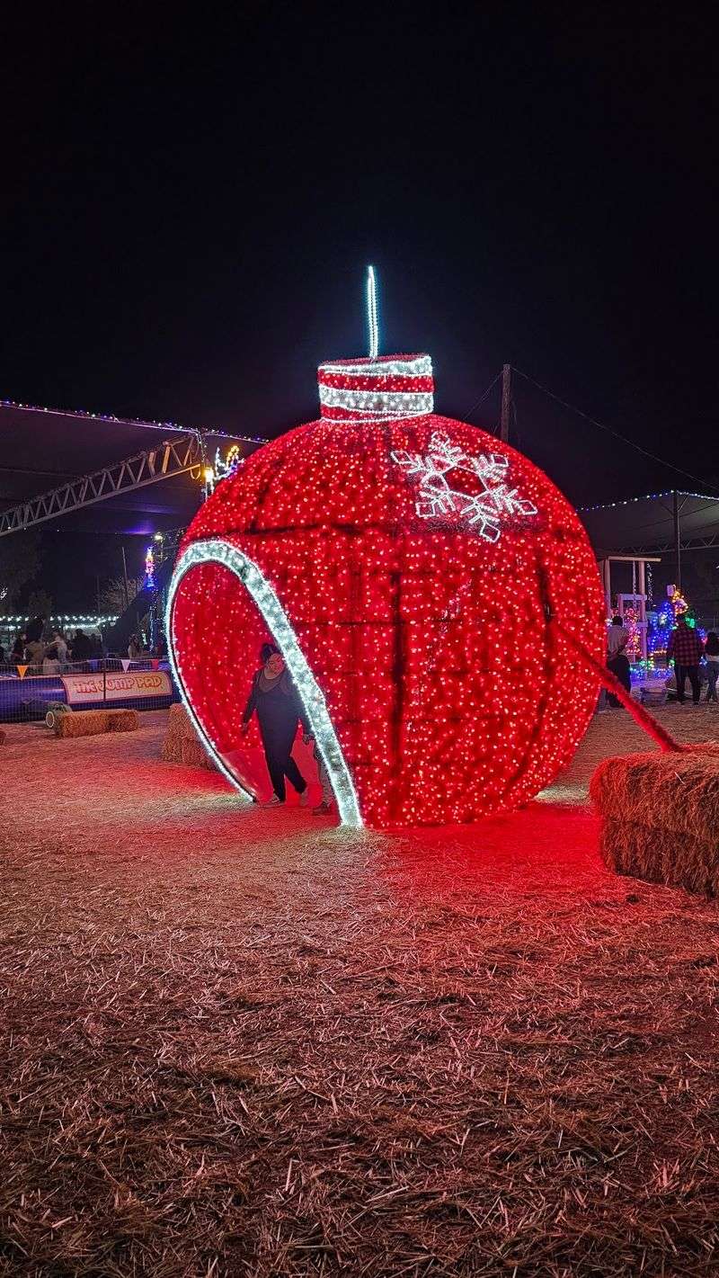Winter Lights and Holiday Magic