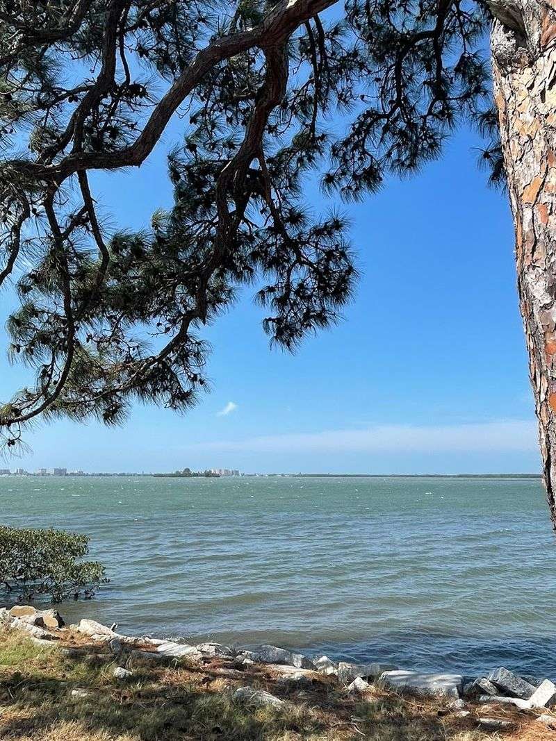 Dunedin, Pinellas County