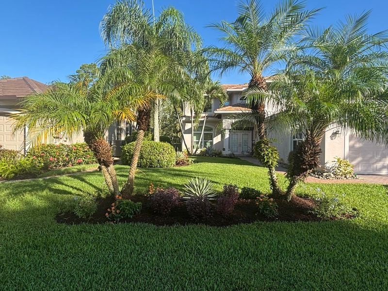 Naples - Southwest Florida's Green Giant