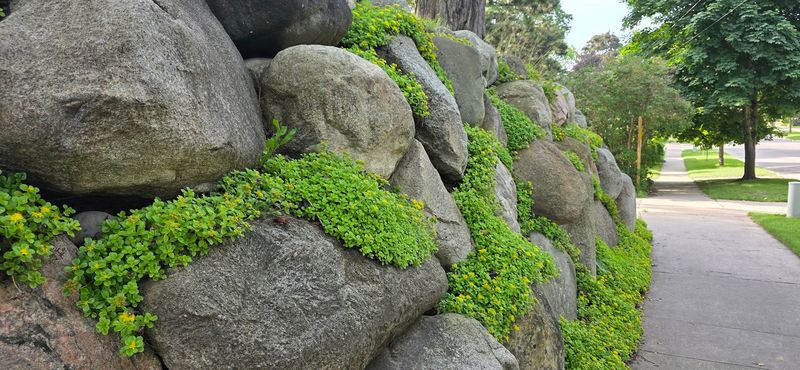 Pebble Detailing Up Close