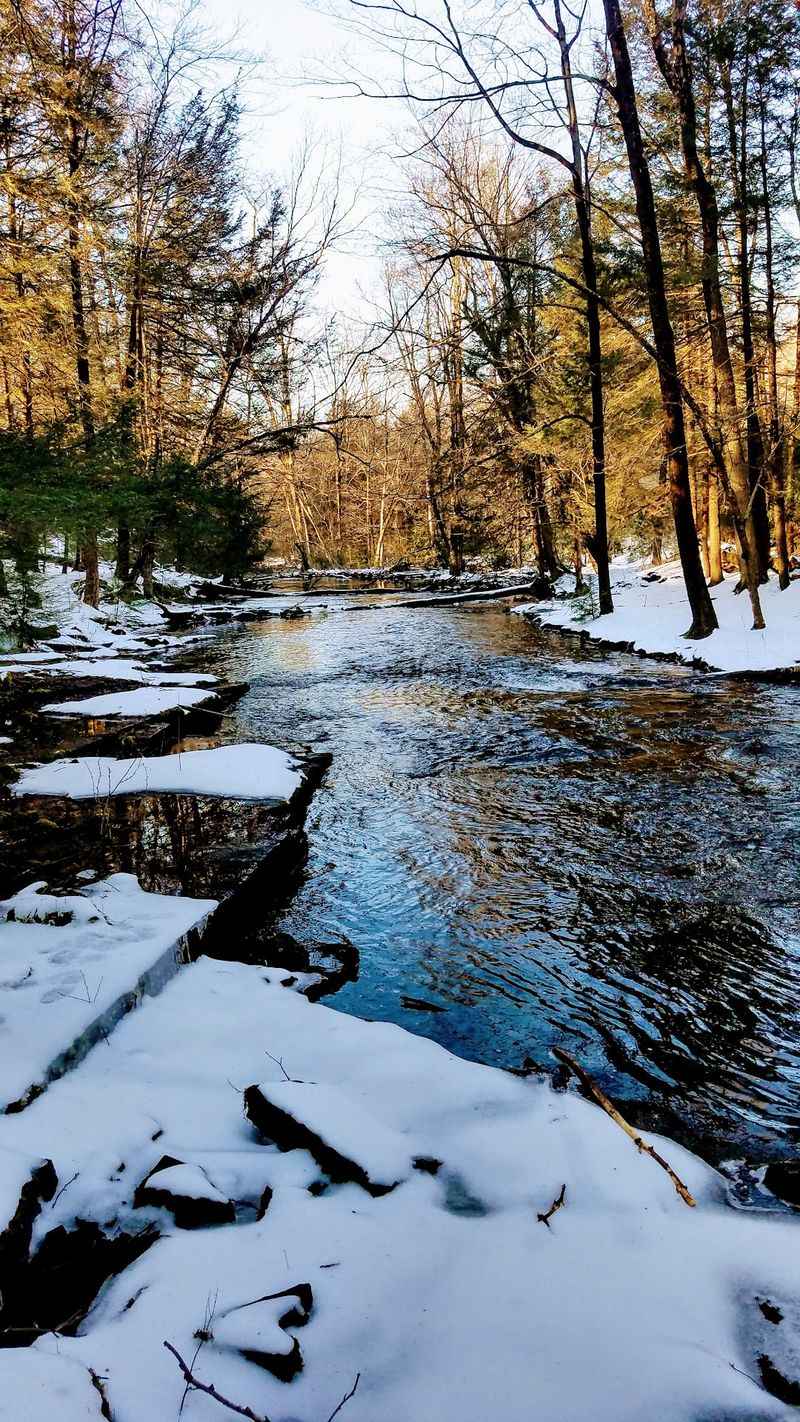 Winter Quiet Does Not Mean Zero Bears