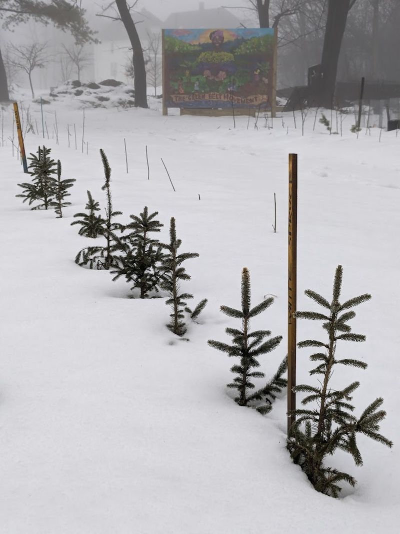 Reading The Site Like A Map