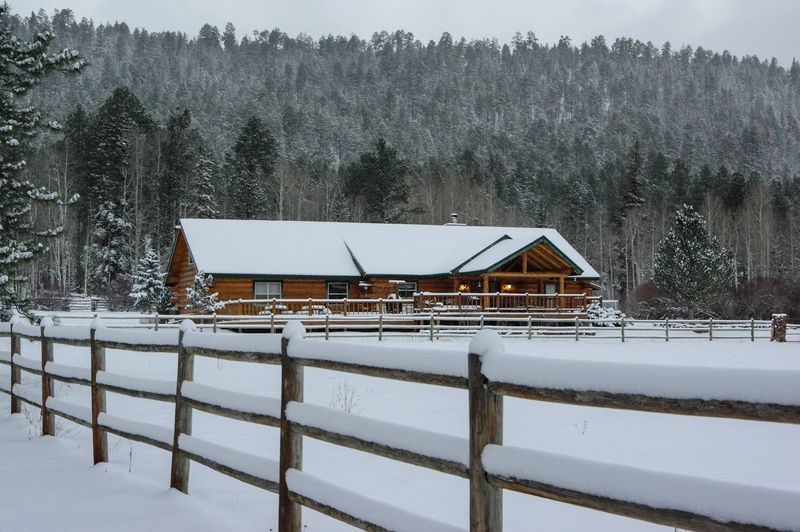 Cabin Life And True Disconnection