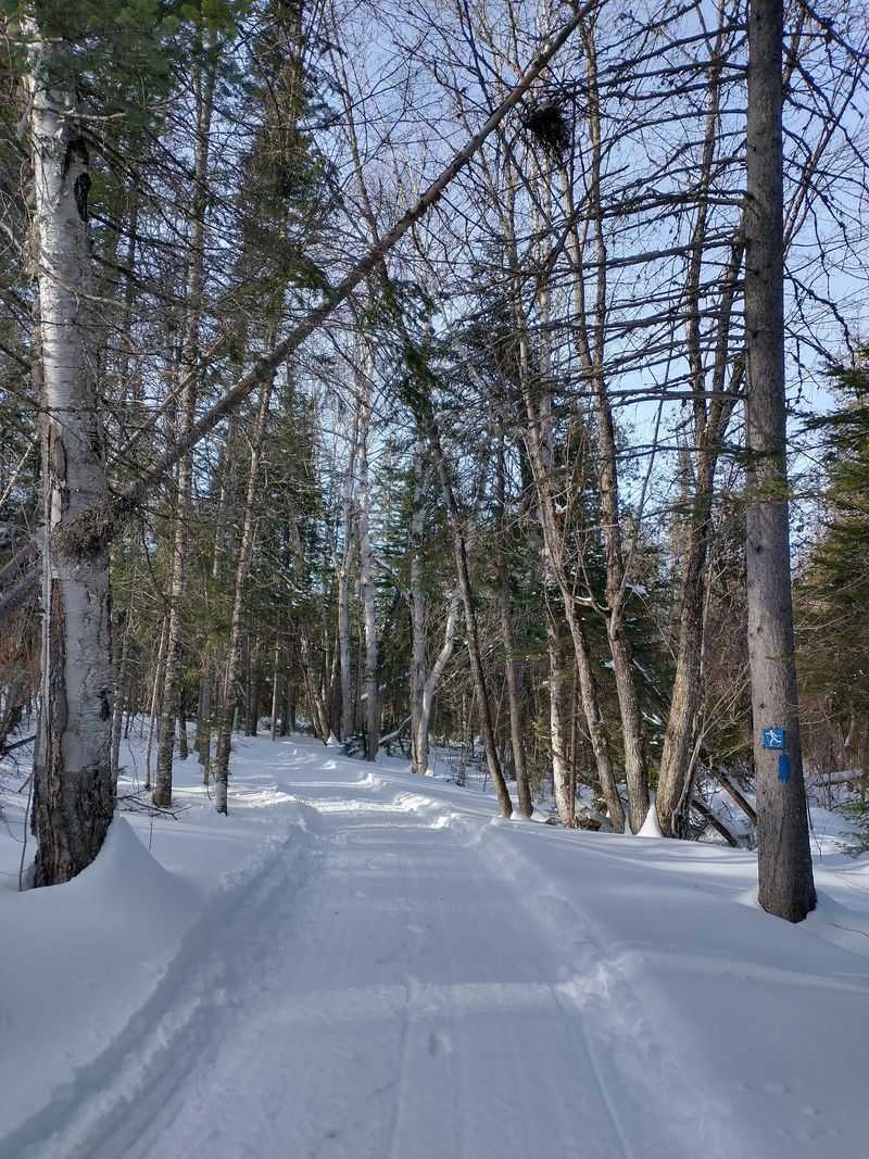 Winter Turns The Trails Into Snowy Playgrounds