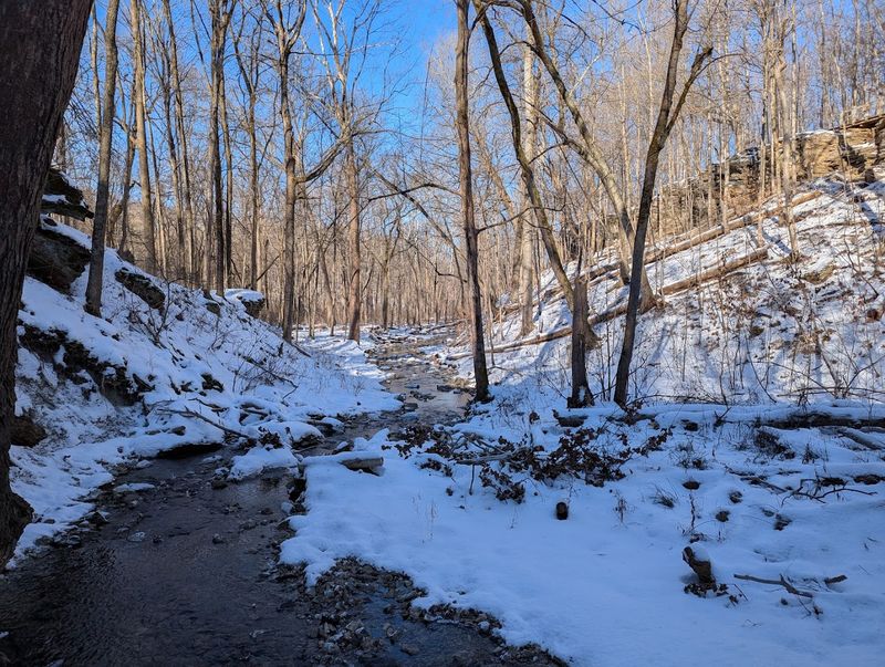 Winter Visits and the Frozen Falls Experience