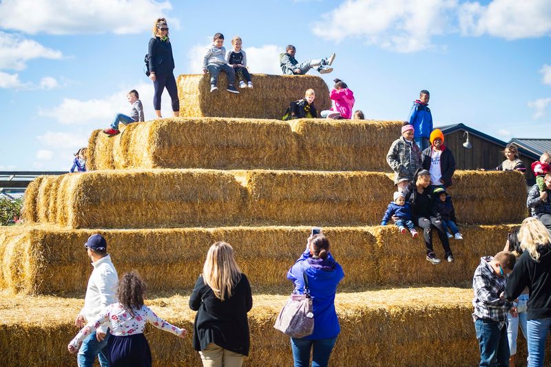 Year-Round Festivals and Events