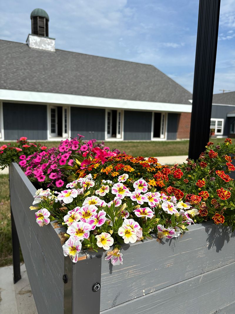 Wiscasset Historic Village Wiscasset Historic Village