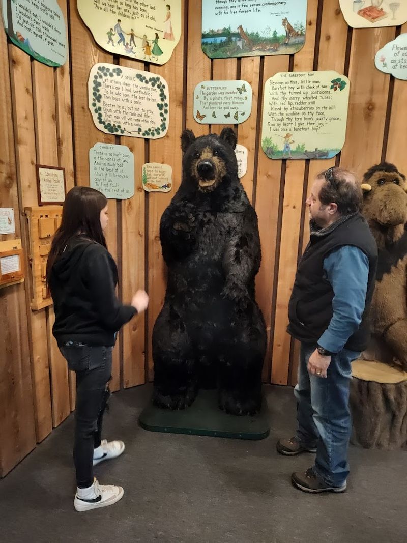 Wisconsin Avenue Lets The Wildlife Roar Indoors