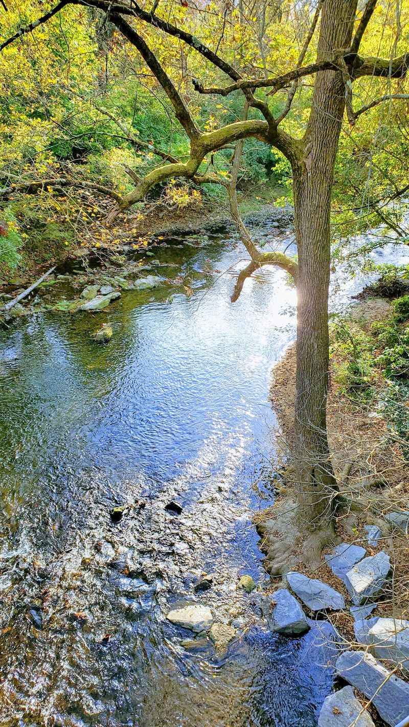 Wissahickon Creek Runs Right Alongside You Wissahickon Creek Runs Right Alongside You