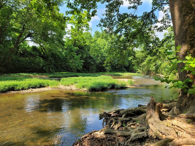 Withrow Springs State Park, Huntsville