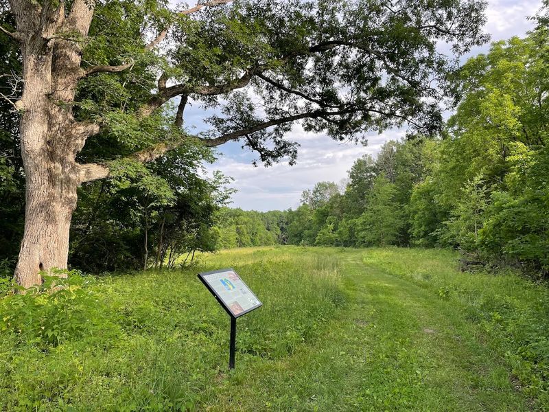 Witkowsky State Wildlife Area, Hanover Witkowsky State Wildlife Area, Hanover