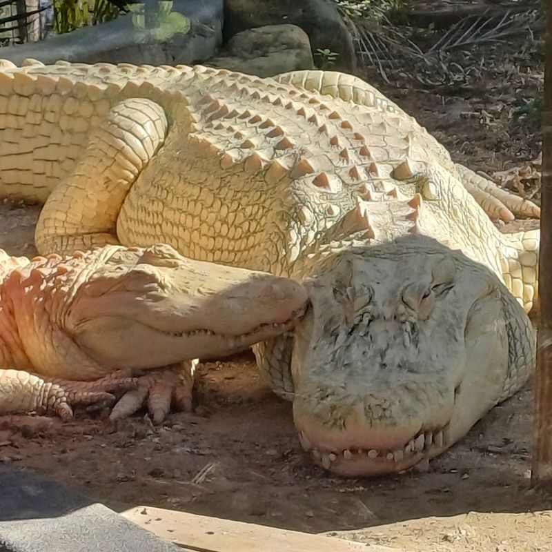 Experience Exotic Species You've Never Seen Before