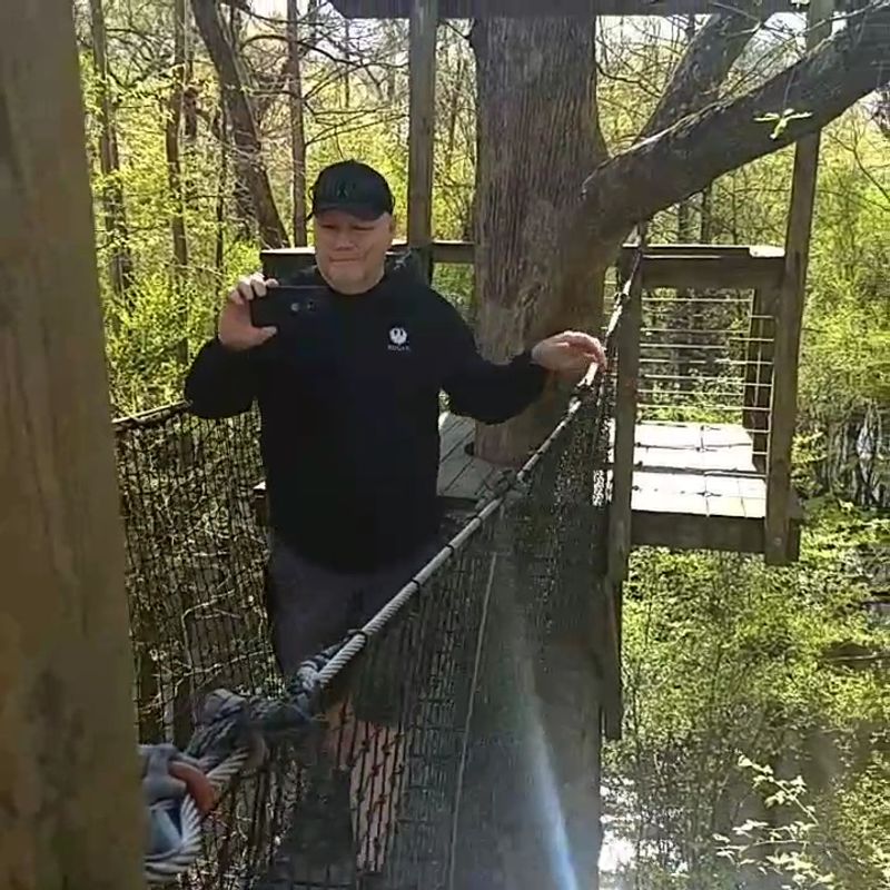 Wobbly Bridges, Steady Nerves