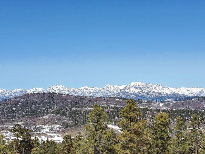 Wolf Creek Ski Area in Summer: A Mountain Escape Most Visitors Overlook