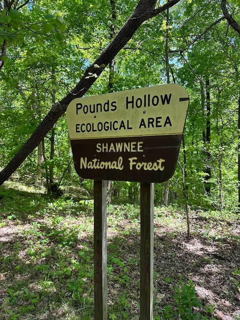 Pounds Hollow Recreation Area, Junction, Illinois