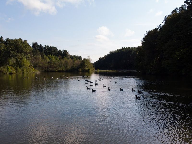 Tri-Valley Wildlife Area, Zanesville, Ohio