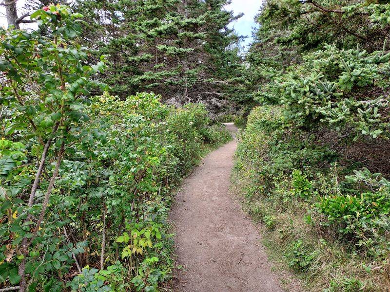 Wonderland Trail, Acadia National Park, Southwest Harbor