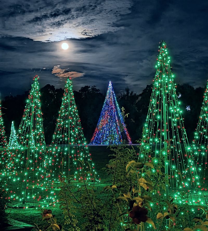 Magic Christmas in Lights at Bellingrath Gardens – Theodore