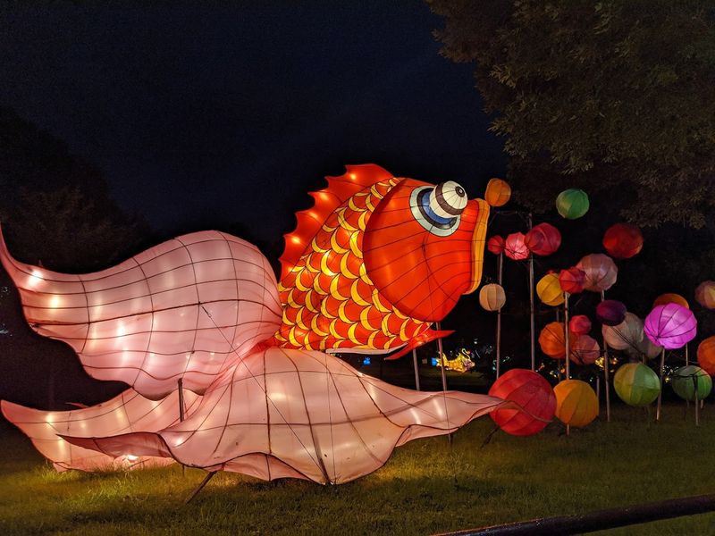 The Nighttime Atmosphere 