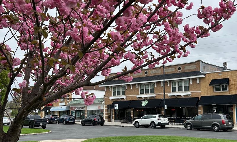 Plate 21 Coffee, Toledo