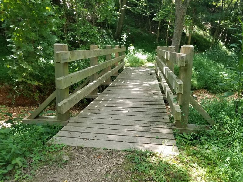Wooded Paths With A Local Feel