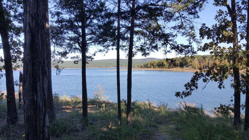 Wooded Roads Leading Toward The Water