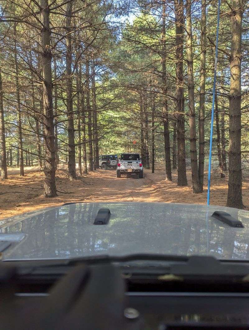 Wooded Trails Deserve Their Own Time