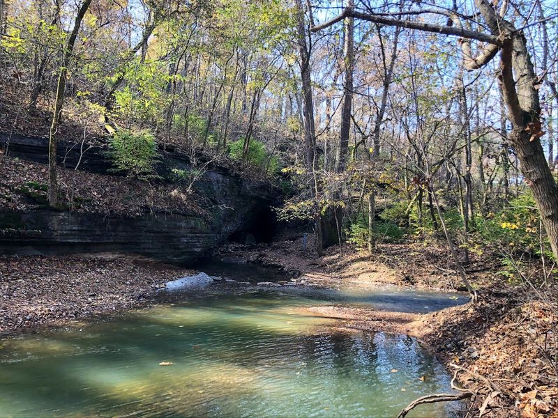 Wooded Turns With Gentle Water Sounds Wooded Turns With Gentle Water Sounds