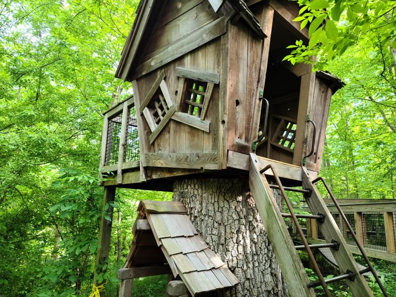Charming Tree House on the Storybook Trail