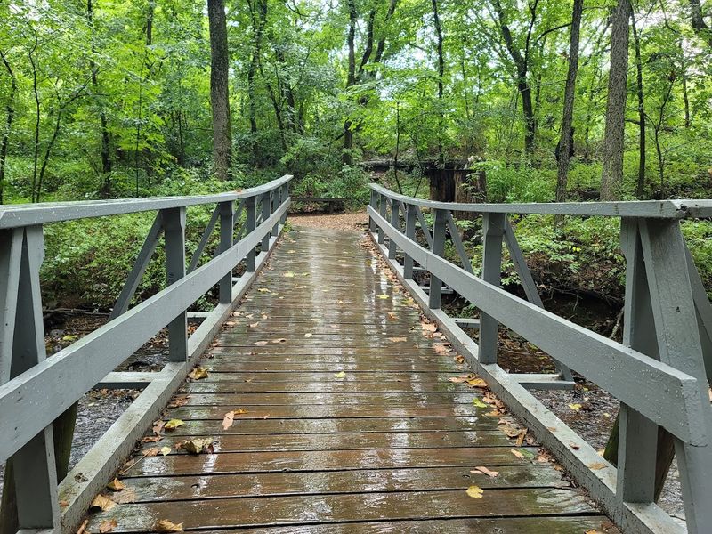 Wooden Bridges And Shaded Trail Views Wooden Bridges And Shaded Trail Views