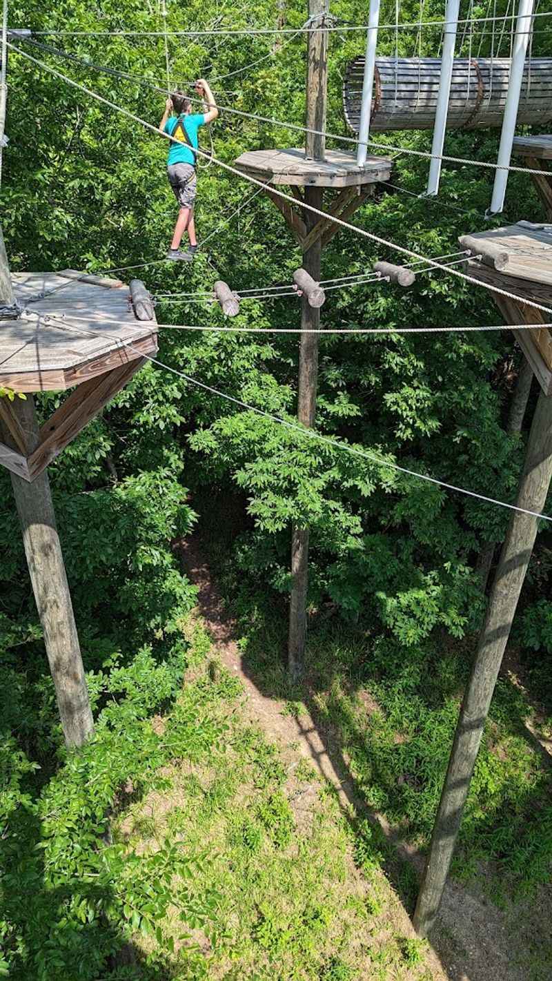 Wooden Platforms Hidden High Among The Trees Wooden Platforms Hidden High Among The Trees