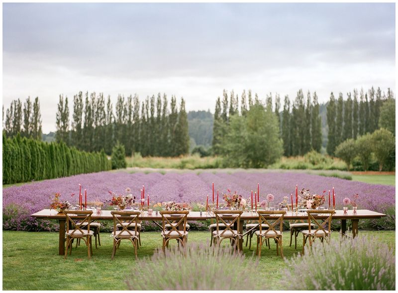 Woodinville Lavender, Redmond, WA
