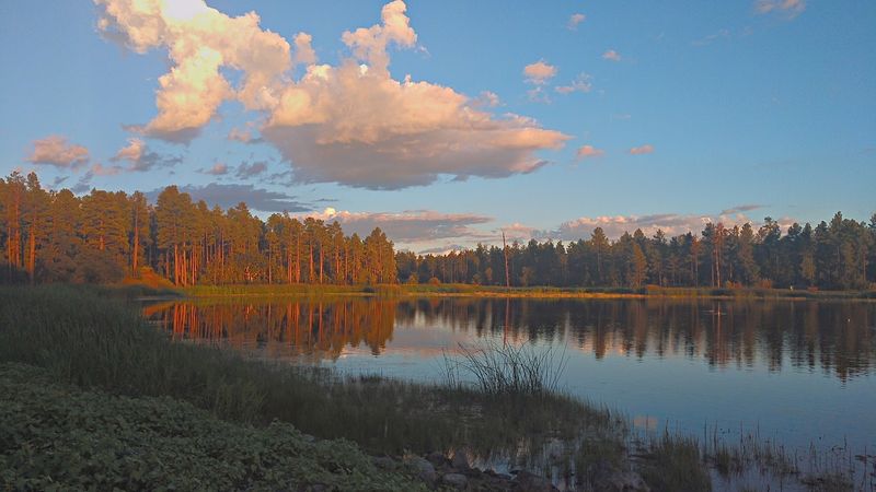 Woodland Lake Park, Lakeside, AZ Woodland Lake Park, Lakeside, AZ