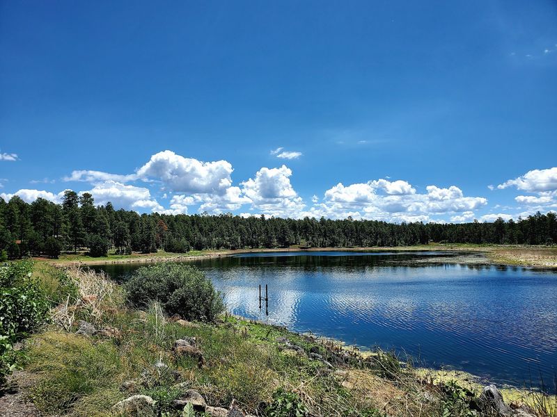Woodland Lake Park, Lakeside, AZ