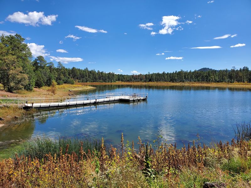 Woodland Lake Park Woodland Lake Park