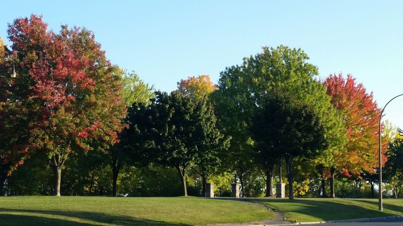 Woodland Park