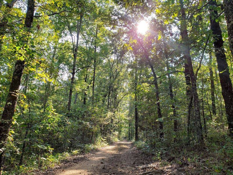 Woodland Trails With A Peaceful Backcountry Feel