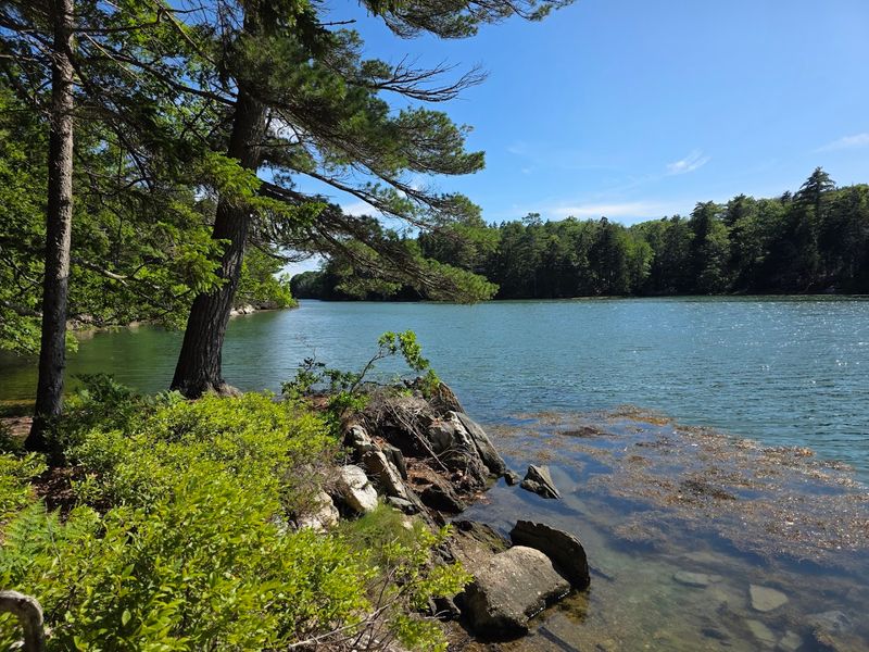 Woodland Trails With Coastal Views