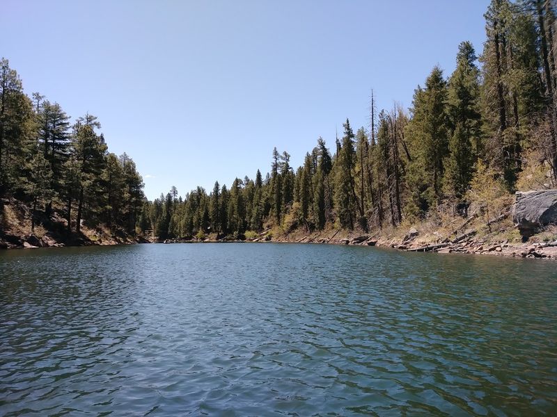 Woods Canyon Nature Trail, Mogollon Rim