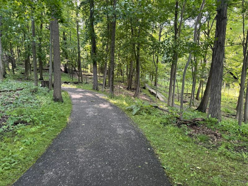 Woods, Trails, And A Proper Escape Hatch Woods, Trails, And A Proper Escape Hatch