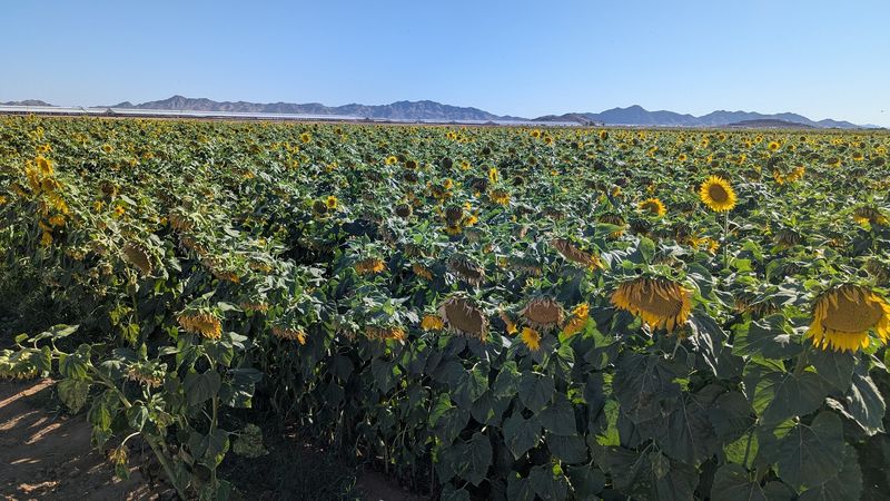 Working Farmland That Deserves Respect